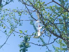 -林栖谷森林康养度假区