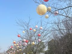 -金卉庄园