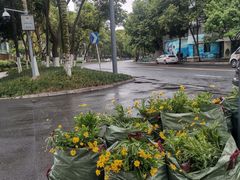 -成都市活水公园