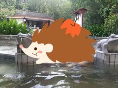 -碧水湾温泉
