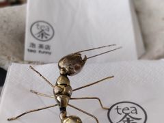 -茶是一枝花泡茶店