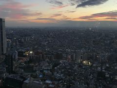 -东京都厅舍