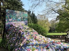 -上海共青森林公园