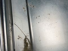 -爱诺耐芙动物医院(万博店)