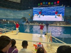 -泉城欧乐堡海洋极地世界