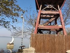 -瑶湖郊野森林公园