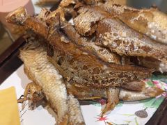 -清雅臻品·竹林院落·新派青岛菜(崂山店)