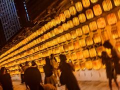 -寻梦滕王阁实景演出