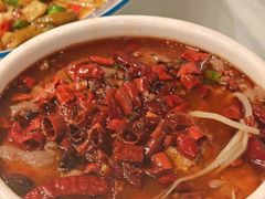 -新蜀会四川豆花(五羊店)