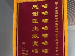 -中农国际动物医院24小时·猫科·骨科·急重症中心