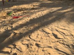 -上海山野camping·户外天幕烧烤·团建拓展营地
