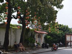 -司徒世家·兵马司林粽球(牌坊街店)