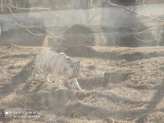 -太原动物园