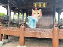 -宁波九龙湖开元度假村