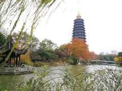 -红梅公园