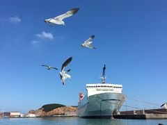 -海驴岛(荣成市)