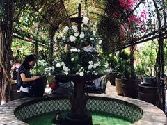 -The Grounds of Alexandria