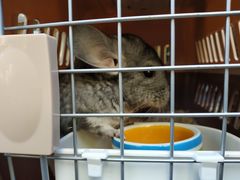 -龙猫仔乐园(惠福东路店)