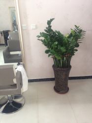 点击看大图 picture-Art Hair Salon