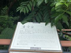 -金鸡山公园