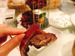 乳鸽-安蒂娅.悦景轩中餐厅(西乡店)