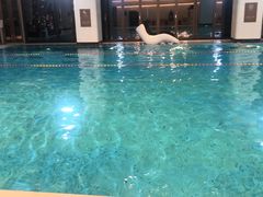 -深圳国际会展中心希尔顿酒店(前海华发冰雪世界店)