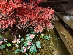 -真定郝家排骨(正定县总店)