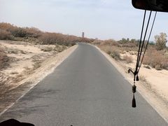 -金塔沙漠胡杨林景区
