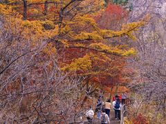 -崂山九水游览区