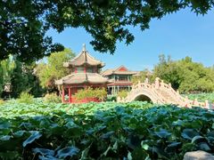 -莲池书院博物馆