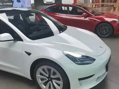 -TESLA 特斯拉(郑州正弘城体验店)