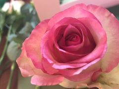 -森野花艺培训·企业团建活动沙龙