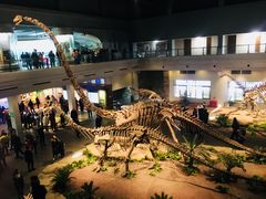 -自贡恐龙博物馆