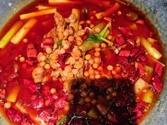 -馋嘴猫北京食堂·烤鸭·宵夜(亚运村店)