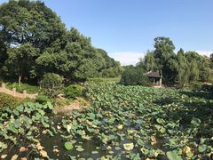-韩湘水博园