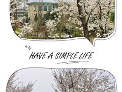 -武汉大学-樱园