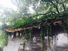 -东湖落雁景区