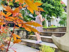 -清迈菩提塞雷纳