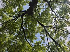 -济南国际园博园