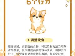 -莘程宠物医院(金山店)