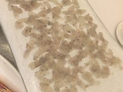 -荔城生鲜盛宴(番禺旗舰店)
