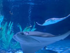 -沈阳海洋探索中心