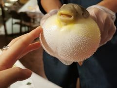 -肆月河豚·新淮扬(金融街店)
