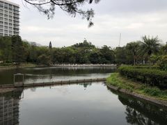 -大埔公路-马料水段香港中文大学(公交站)