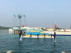 -秦皇岛乐岛海洋王国