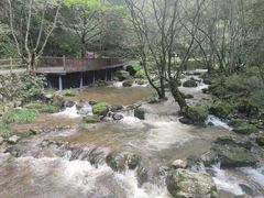 -牛背梁国家森林公园