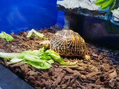 -上海海洋水族馆