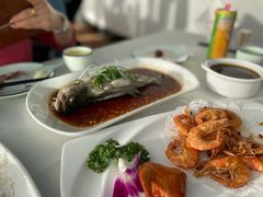 -云中小雅