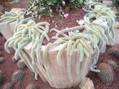 -南通洲际绿博园