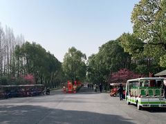 -上海海湾国家森林公园